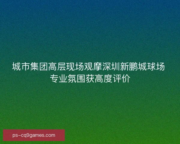 城市集团高层现场观摩深圳新鹏城球场 专业氛围获高度评价